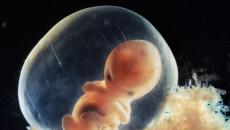 Osmi porodniški teden nosečnosti: kaj se dogaja v telesu matere in ploda?