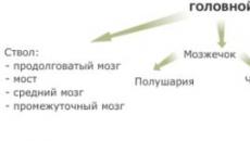 Trunchiul cerebral și sindroame alternante Hemoragie în prognosticul trunchiului cerebral