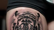 Татуировка тигра значение на зоне Тату тигр на руке для девушек