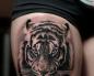 Pomen tetovaže tigra na območju Tetovaža tigra na roki za dekleta