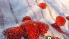 Mrlje od krvi – ispravno i efikasno pranje