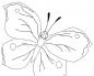 big butterfly coloring page printable