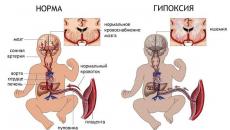 ทุกอย่างเกี่ยวกับการรักษาโรคหอบหืดระหว่างตั้งครรภ์